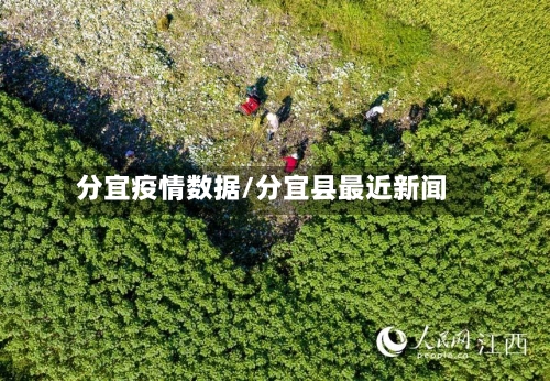 分宜疫情数据/分宜县最近新闻