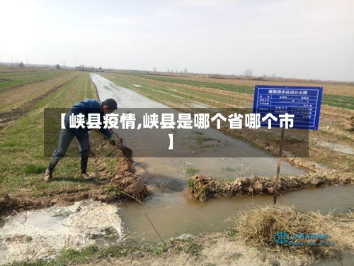 【峡县疫情,峡县是哪个省哪个市】-第3张图片