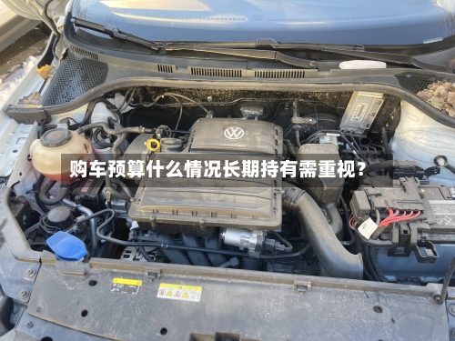 购车预算什么情况长期持有需重视？-第3张图片