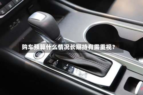 购车预算什么情况长期持有需重视？-第2张图片