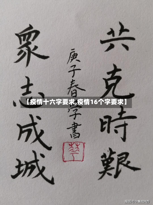 【疫情十六字要求,疫情16个字要求】-第2张图片