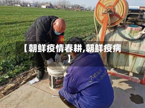 【朝鲜疫情春耕,朝鲜疫病】
