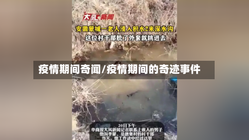 疫情期间奇闻/疫情期间的奇迹事件-第2张图片
