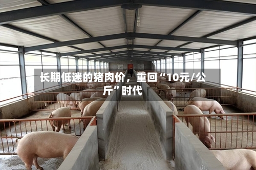 长期低迷的猪肉价	，重回“10元/公斤”时代-第3张图片