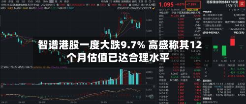 智谱港股一度大跌9.7% 高盛称其12个月估值已达合理水平-第2张图片