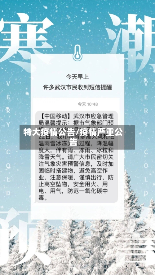 特大疫情公告/疫情严重公告-第2张图片