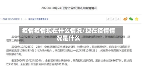 疫情疫情现在什么情况/现在疫情情况是什么-第3张图片