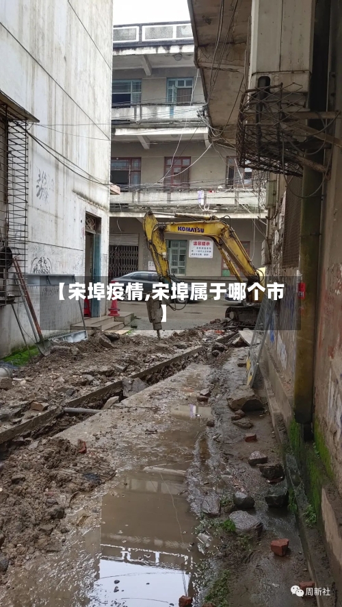 【宋埠疫情,宋埠属于哪个市】-第2张图片