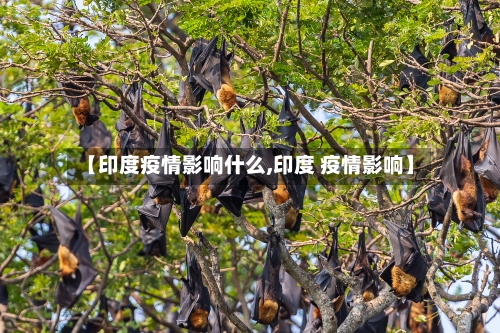【印度疫情影响什么,印度 疫情影响】