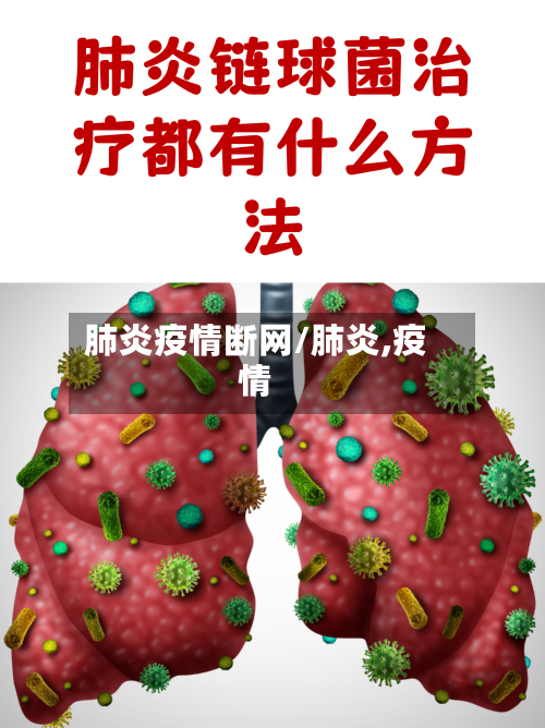 肺炎疫情断网/肺炎,疫情