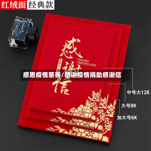 感恩疫情慈善/感谢疫情捐助感谢信