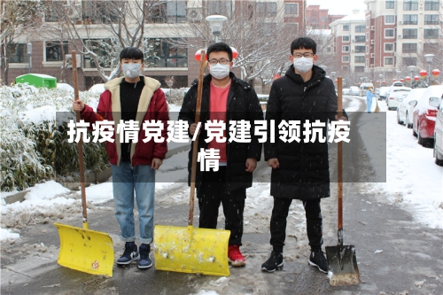 抗疫情党建/党建引领抗疫情-第3张图片