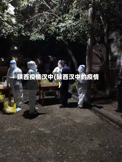 陕西疫情汉中(陕西汉中的疫情)-第2张图片