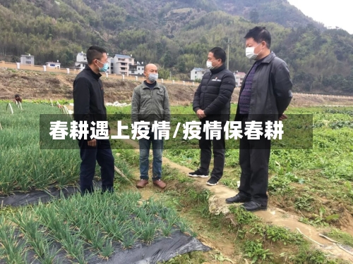 春耕遇上疫情/疫情保春耕-第3张图片