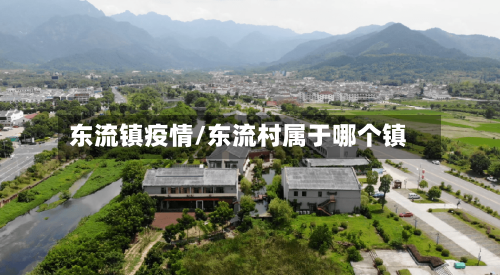 东流镇疫情/东流村属于哪个镇-第3张图片