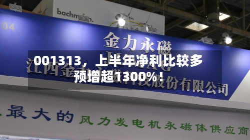 001313，上半年净利比较多预增超1300%！-第2张图片