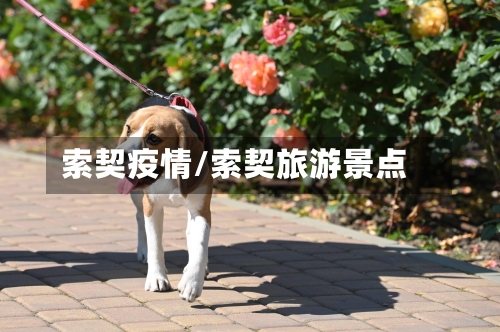 索契疫情/索契旅游景点-第3张图片