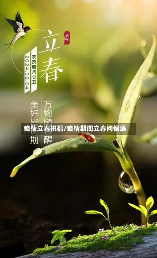 疫情立春祝福/疫情期间立春问候语-第2张图片
