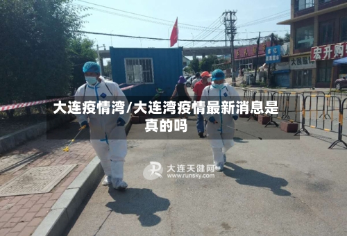大连疫情湾/大连湾疫情最新消息是真的吗-第2张图片