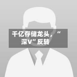 千亿存储龙头	，“深V”反转-第3张图片