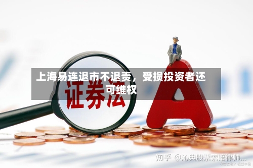 上海易连退市不退责	，受损投资者还可维权-第3张图片