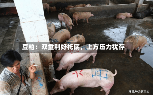 豆粕：双重利好托底	，上方压力犹存-第2张图片