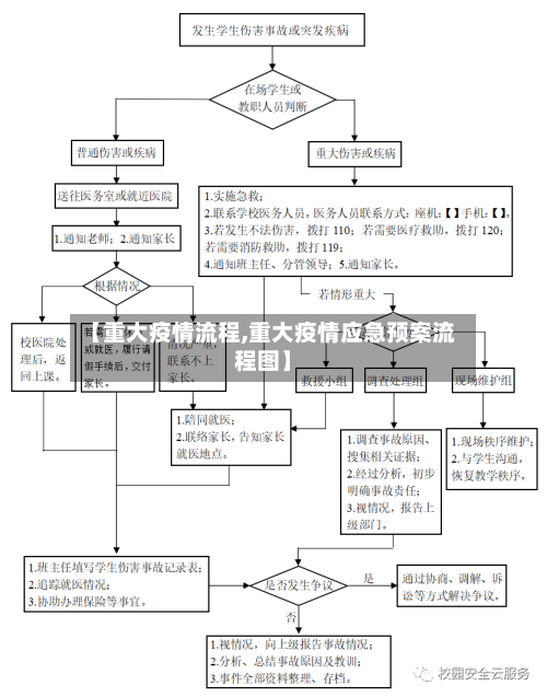 【重大疫情流程,重大疫情应急预案流程图】