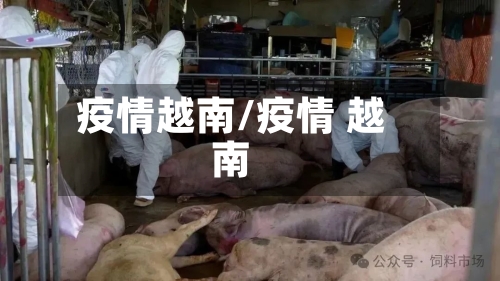 疫情越南/疫情 越南