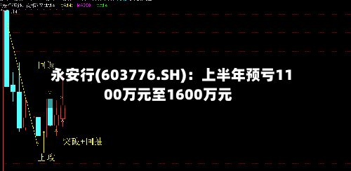 永安行(603776.SH)：上半年预亏1100万元至1600万元
