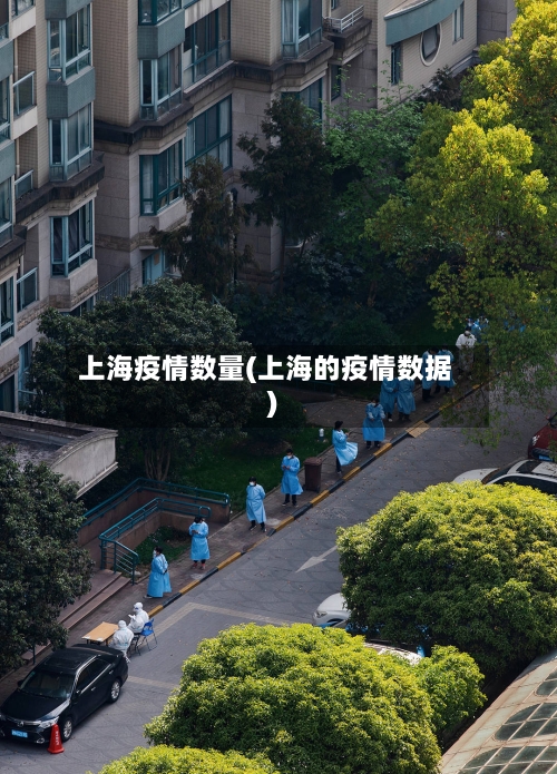 上海疫情数量(上海的疫情数据)-第2张图片