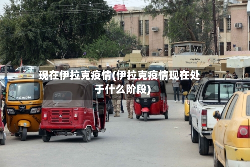现在伊拉克疫情(伊拉克疫情现在处于什么阶段)-第2张图片