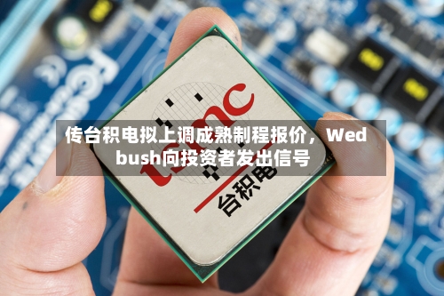 传台积电拟上调成熟制程报价	，Wedbush向投资者发出信号-第2张图片
