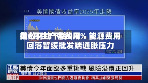 美6月生产者费用指数环比下降0.3% 能源费用回落暂缓批发端通胀压力-第3张图片