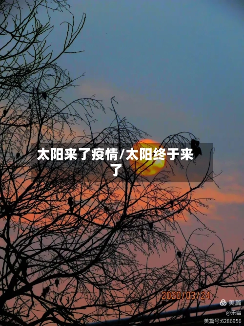 太阳来了疫情/太阳终于来了-第3张图片