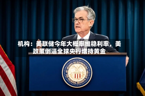 机构：美联储今年大概率维稳利率	，美政策倒逼全球央行增持黄金-第3张图片