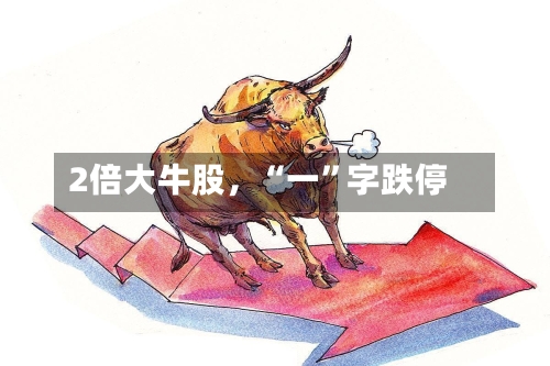 2倍大牛股	，“一”字跌停-第3张图片