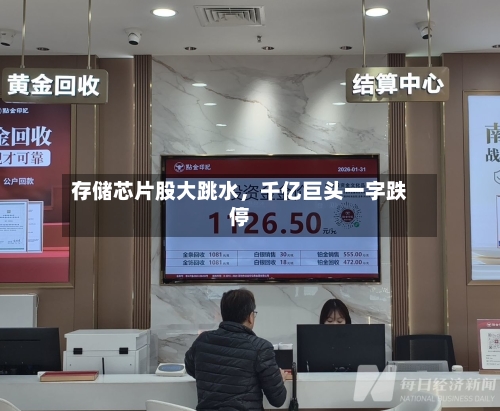 存储芯片股大跳水，千亿巨头一字跌停-第2张图片